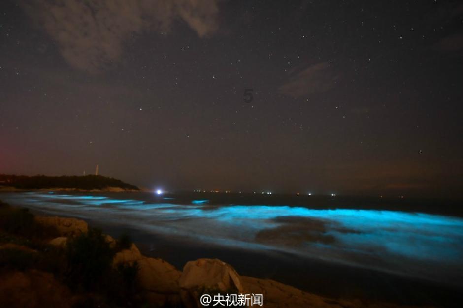 动物帮帮忙保卫家园